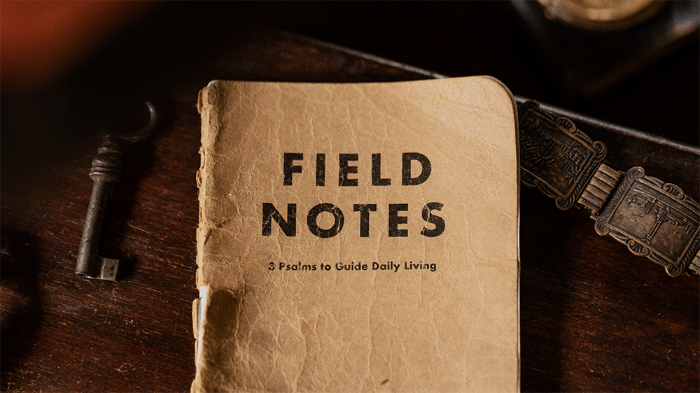 Field Notes series artwork